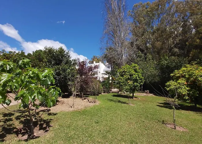 Апартаменты Del Parque Flats Le Village Golf *