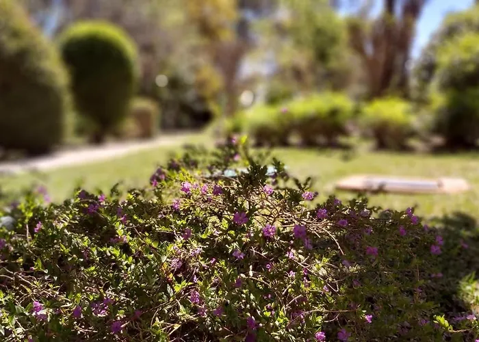 Del Parque Flats Le Village Golf